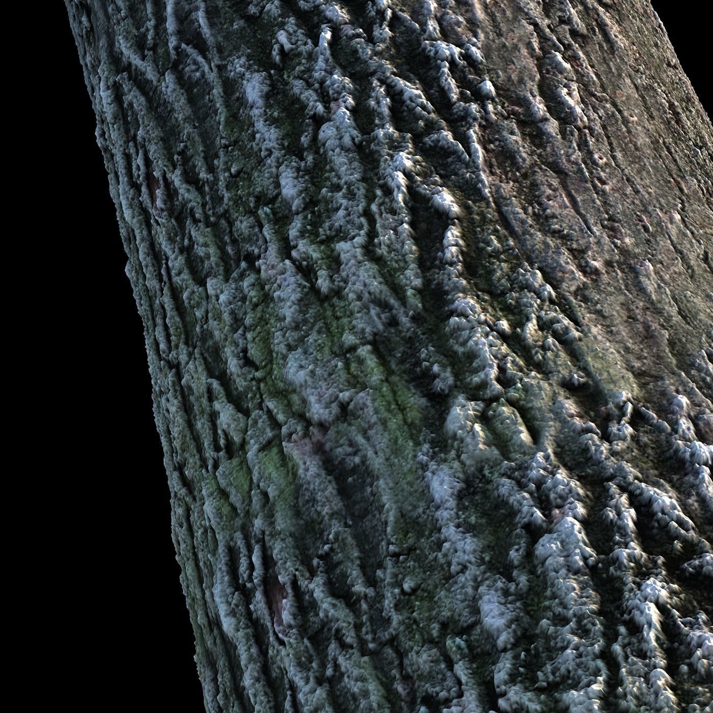 Tree Bark 4k Seamless texture set of 7 wooden materials Texture_15