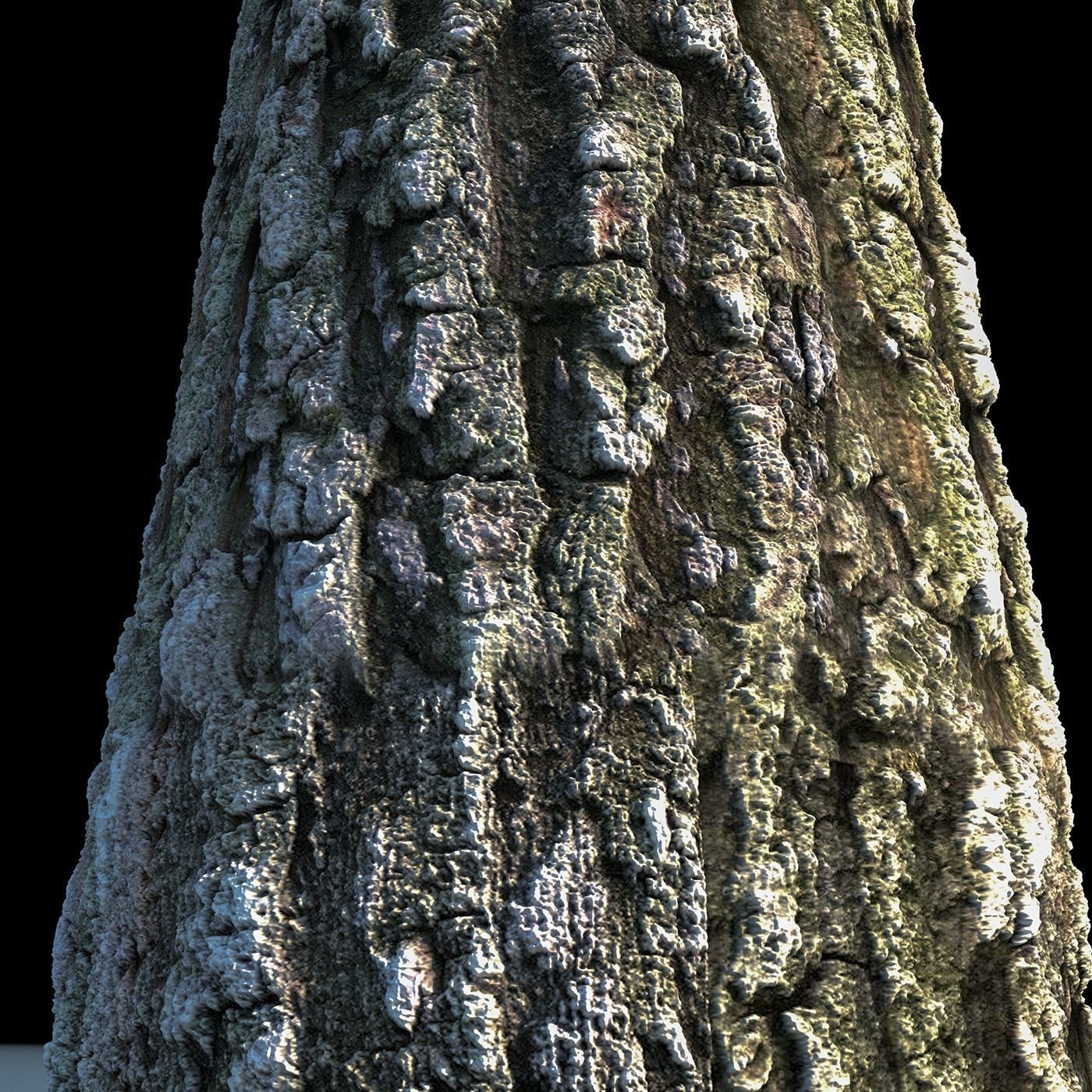 Tree Bark 4k Seamless texture set of 7 wooden materials Texture_3