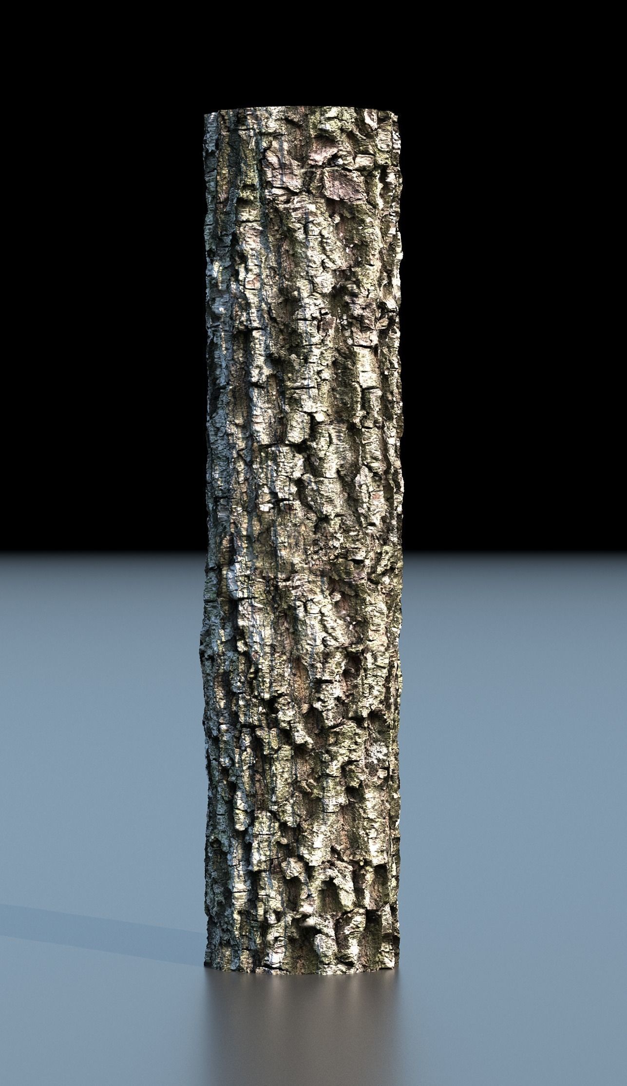 Tree Bark 4k Seamless texture set of 7 wooden materials Texture_4