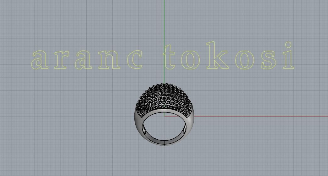 SV RINGS N5 3D print model_5