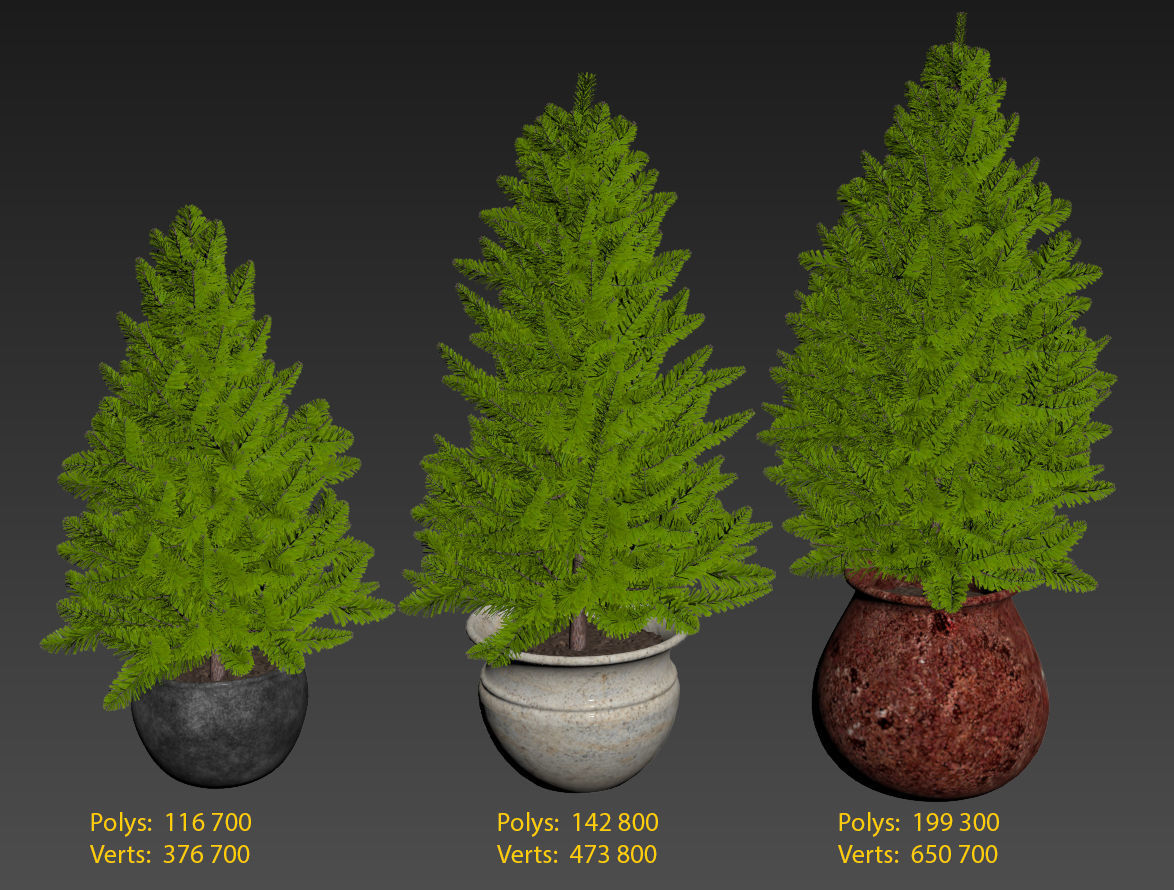 Pine trees in pots 3D model_10