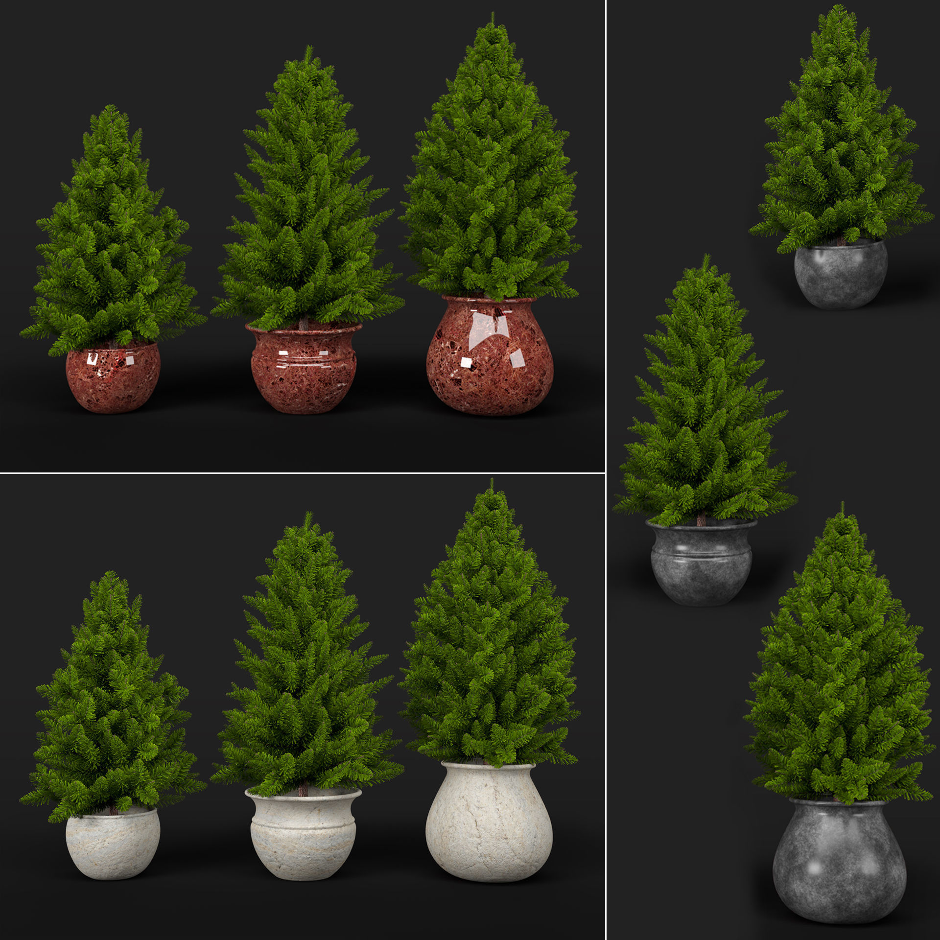 Pine trees in pots 3D model_3
