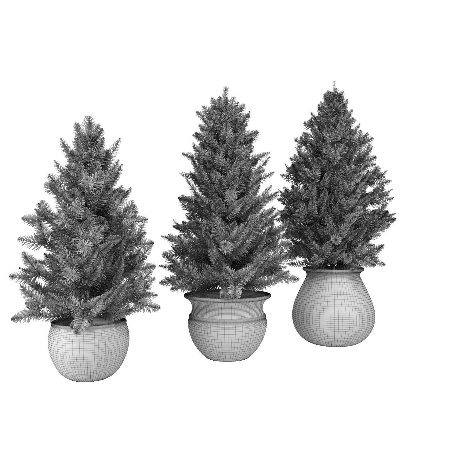 Pine trees in pots 3D model_14