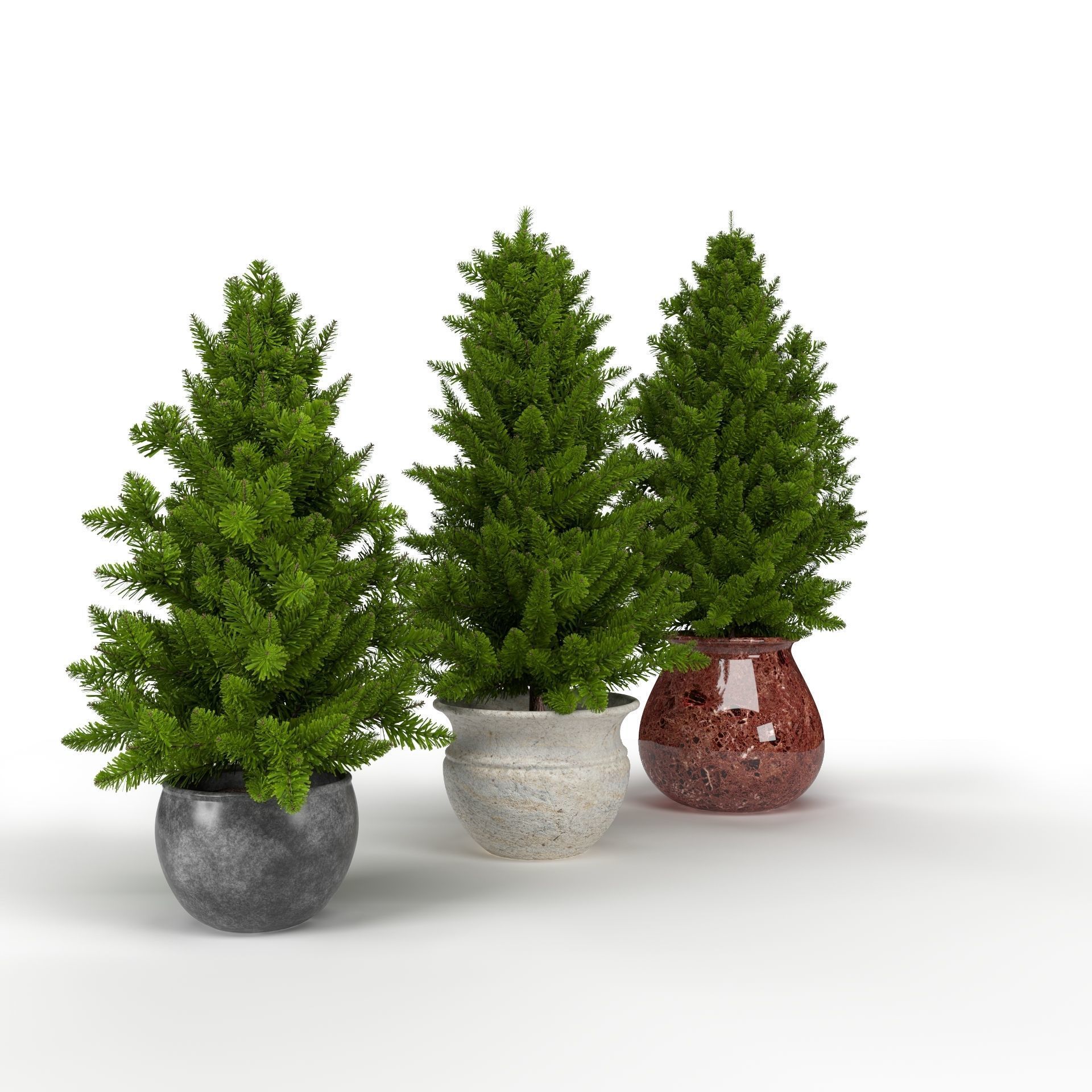 Pine trees in pots 3D model_11