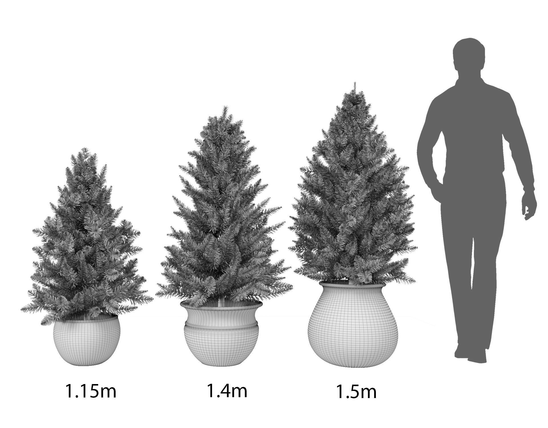 Pine trees in pots 3D model_6