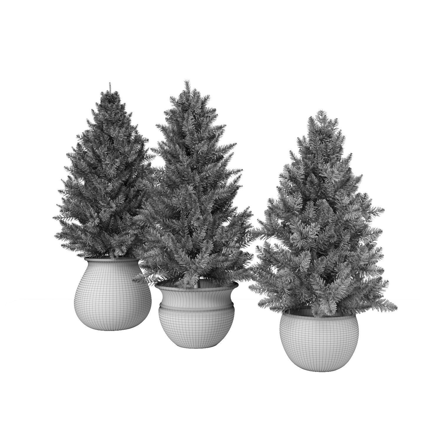 Pine trees in pots 3D model_13