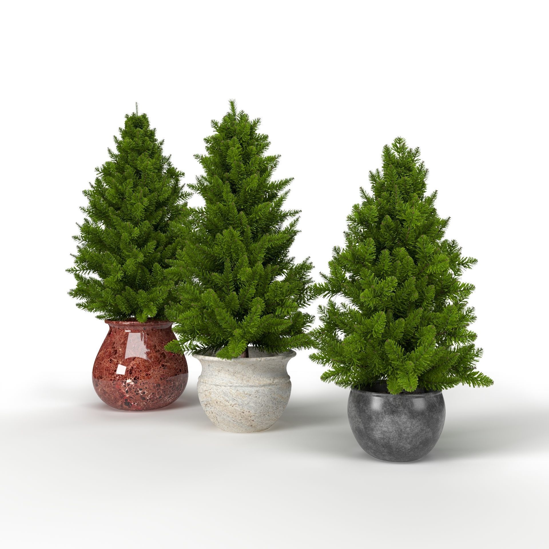 Pine trees in pots 3D model_12