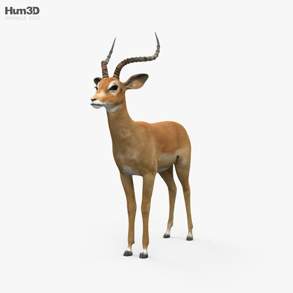 Impala HD