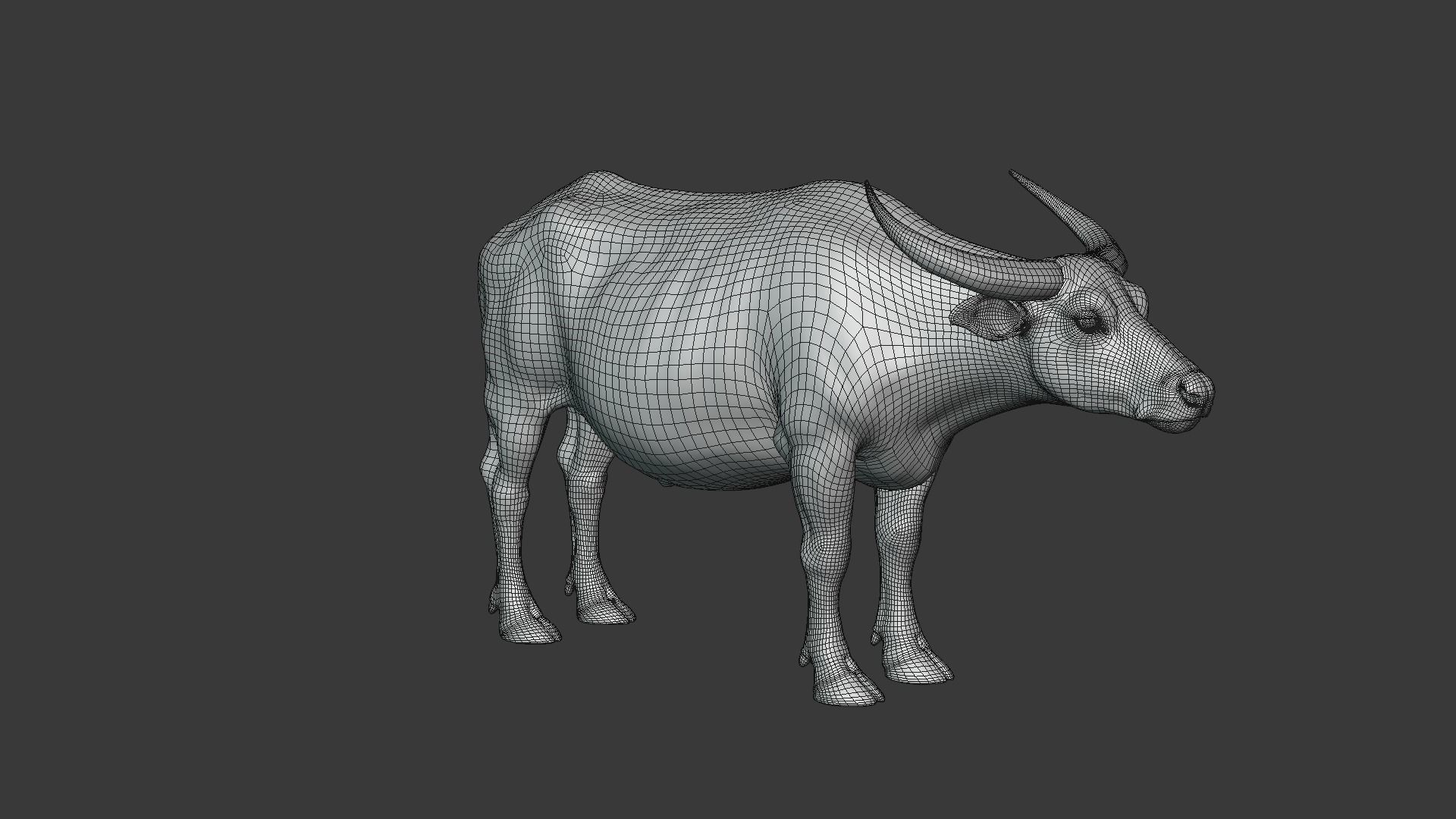 Asian buffalo - Water buffalo Animated 3D model_11