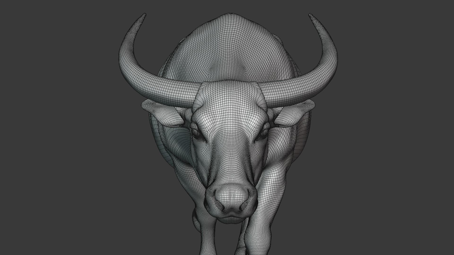 Asian buffalo - Water buffalo Animated 3D model_20