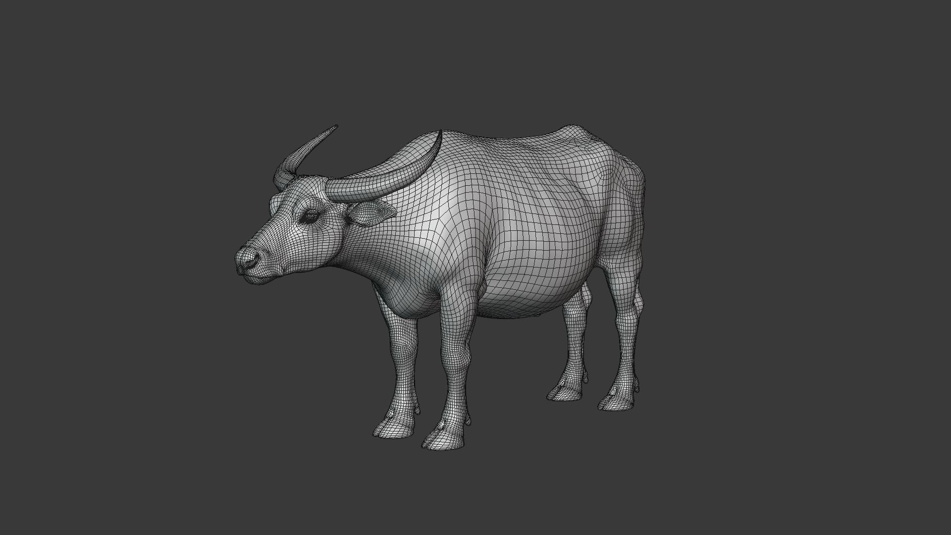 Asian buffalo - Water buffalo Animated 3D model_13