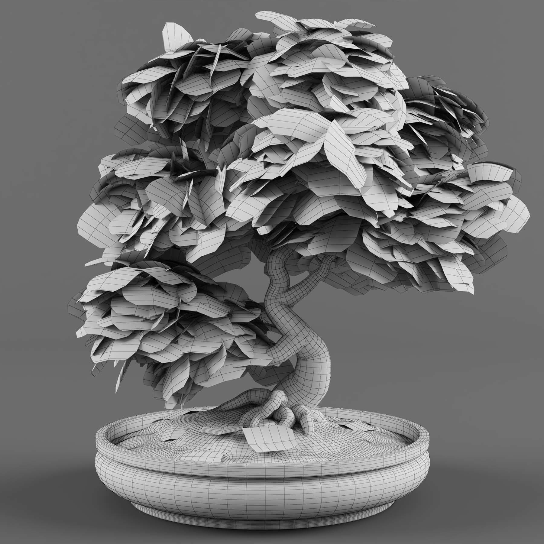 Bonsai Japanese Maple tree 3D model_5