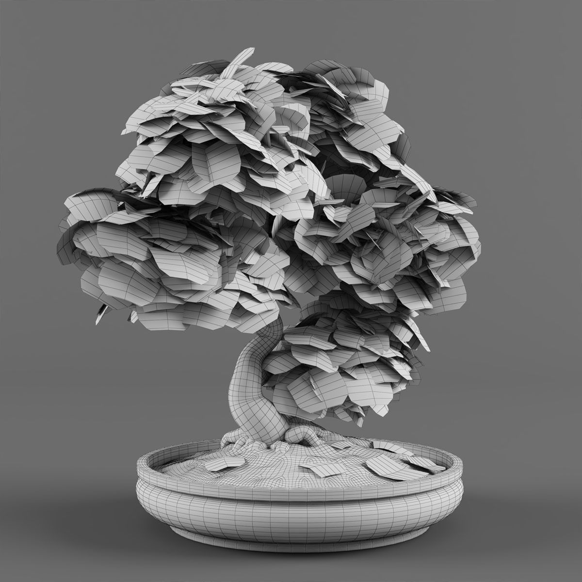 Bonsai Japanese Maple tree 3D model_6