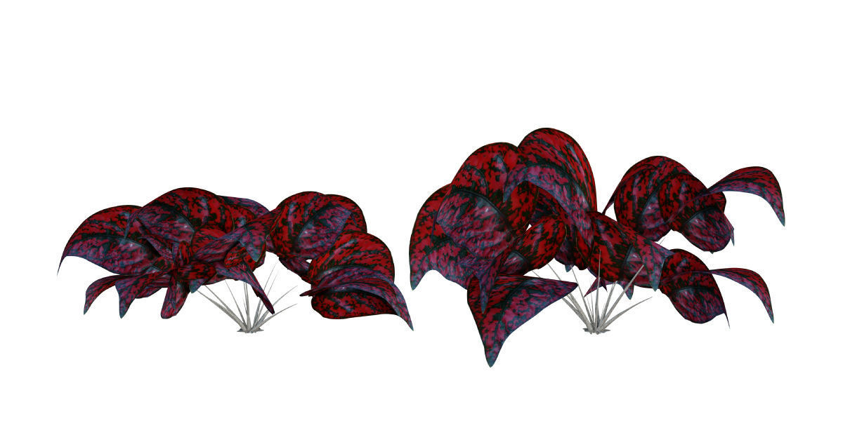 Ultimate Tropical Collection Low-poly 3D model_17