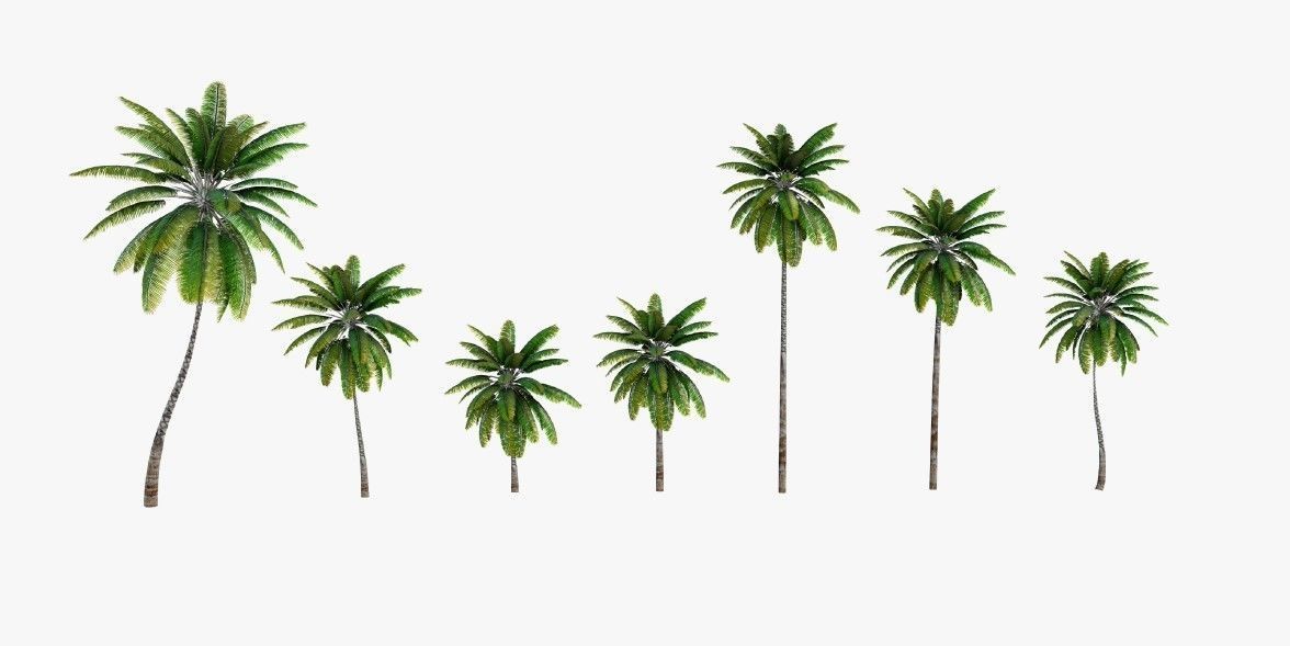 Ultimate Tropical Collection Low-poly 3D model_6
