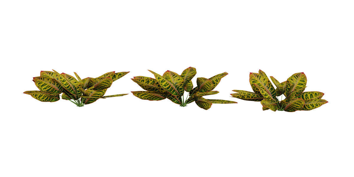 Ultimate Tropical Collection Low-poly 3D model_15