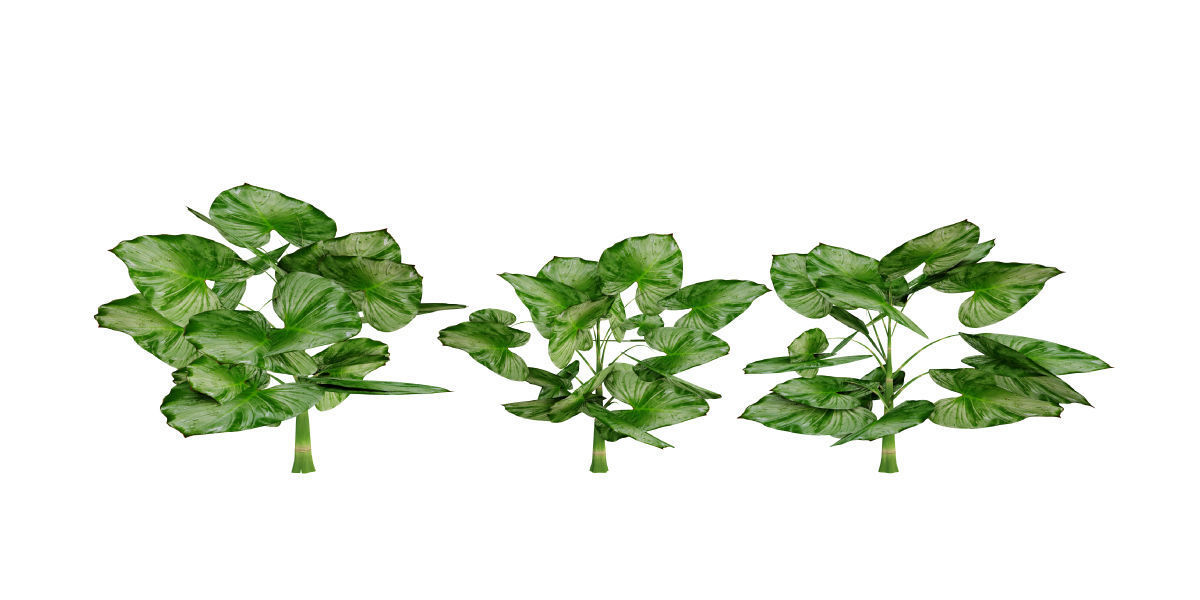 Ultimate Tropical Collection Low-poly 3D model_13
