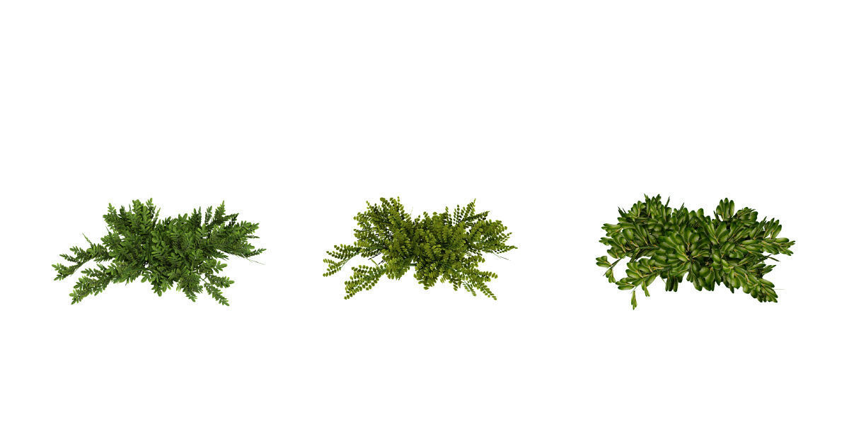 Ultimate Tropical Collection Low-poly 3D model_8
