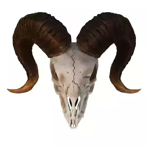 Ram Skull 3D model