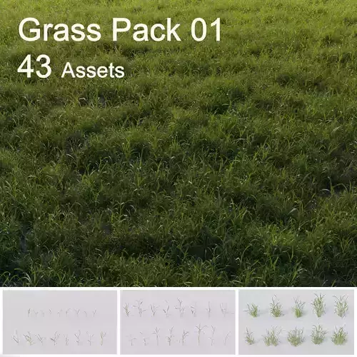3D Grass collection vol01  3D model