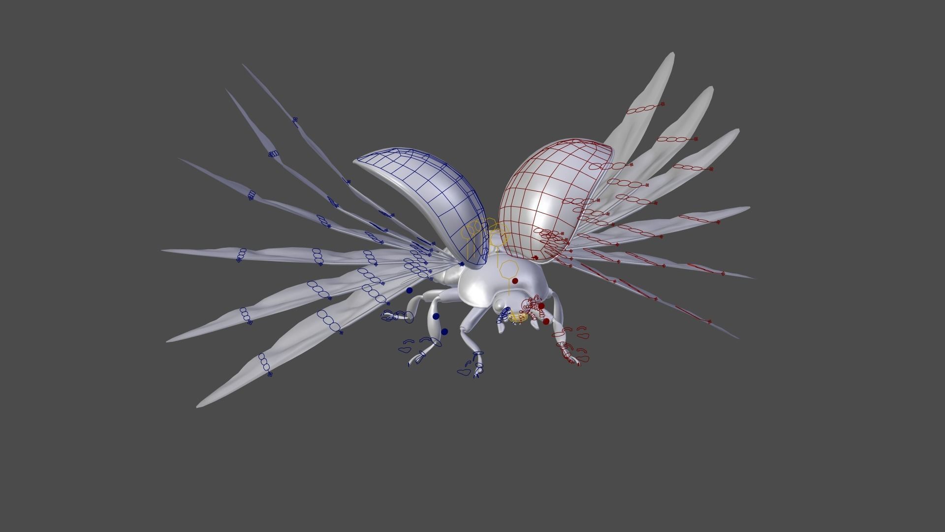 Ladybug Animated 3D model_40