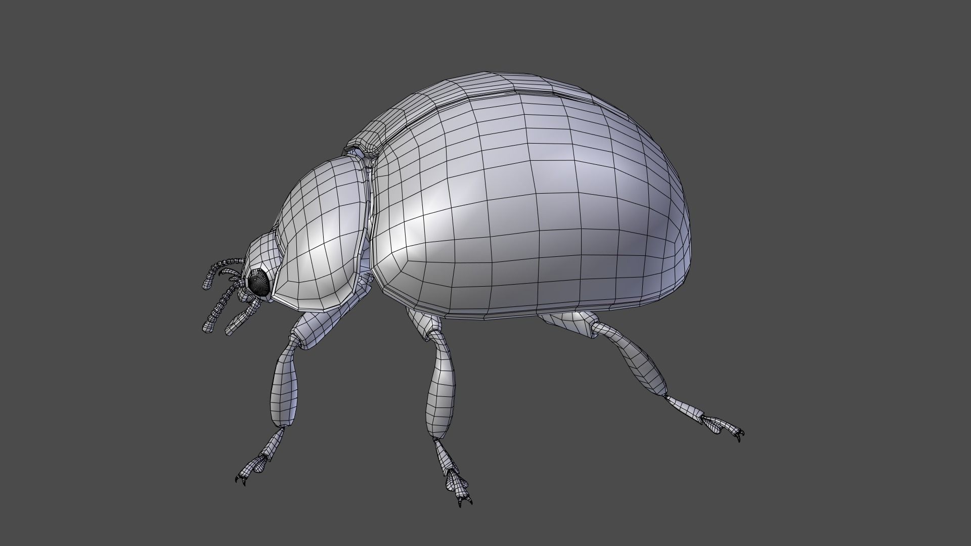 Ladybug Animated 3D model_31