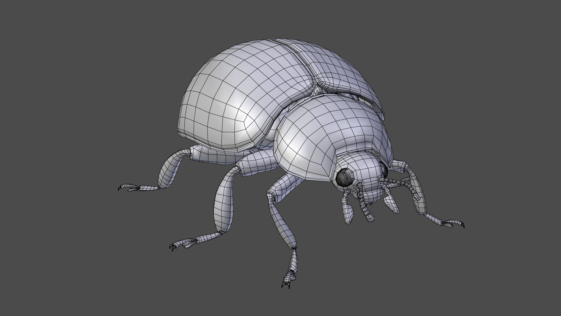 Ladybug Animated 3D model_25