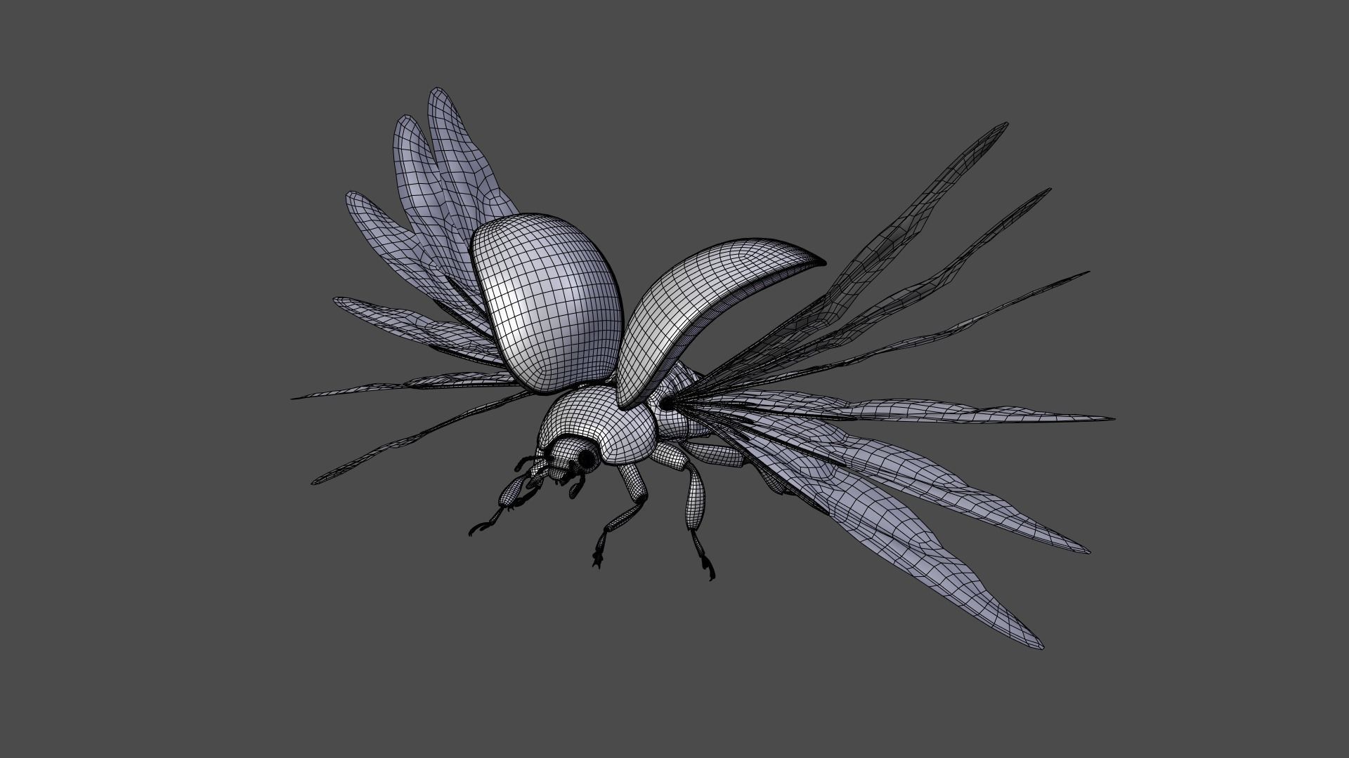 Ladybug Animated 3D model_36