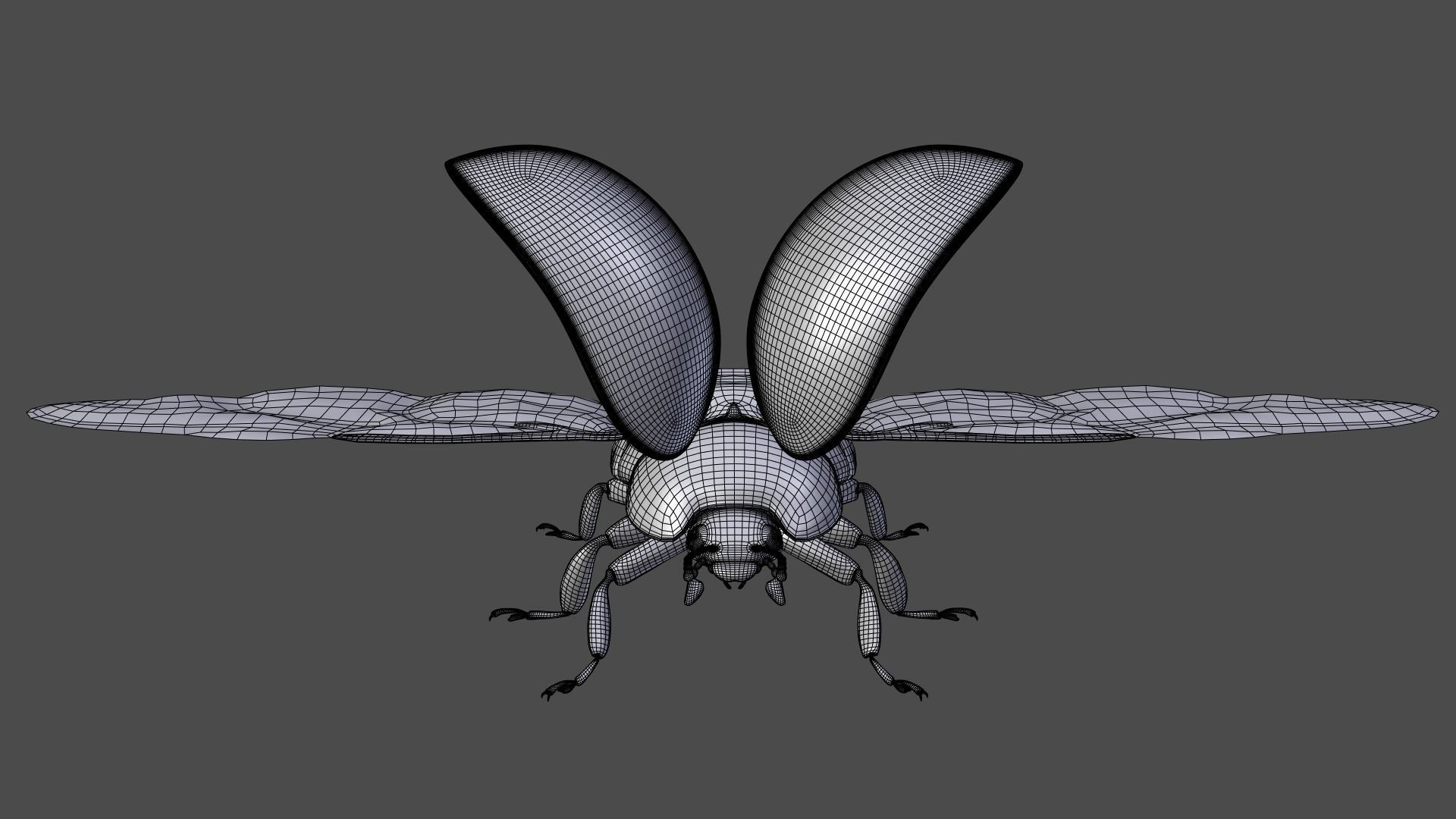 Ladybug Animated 3D model_18