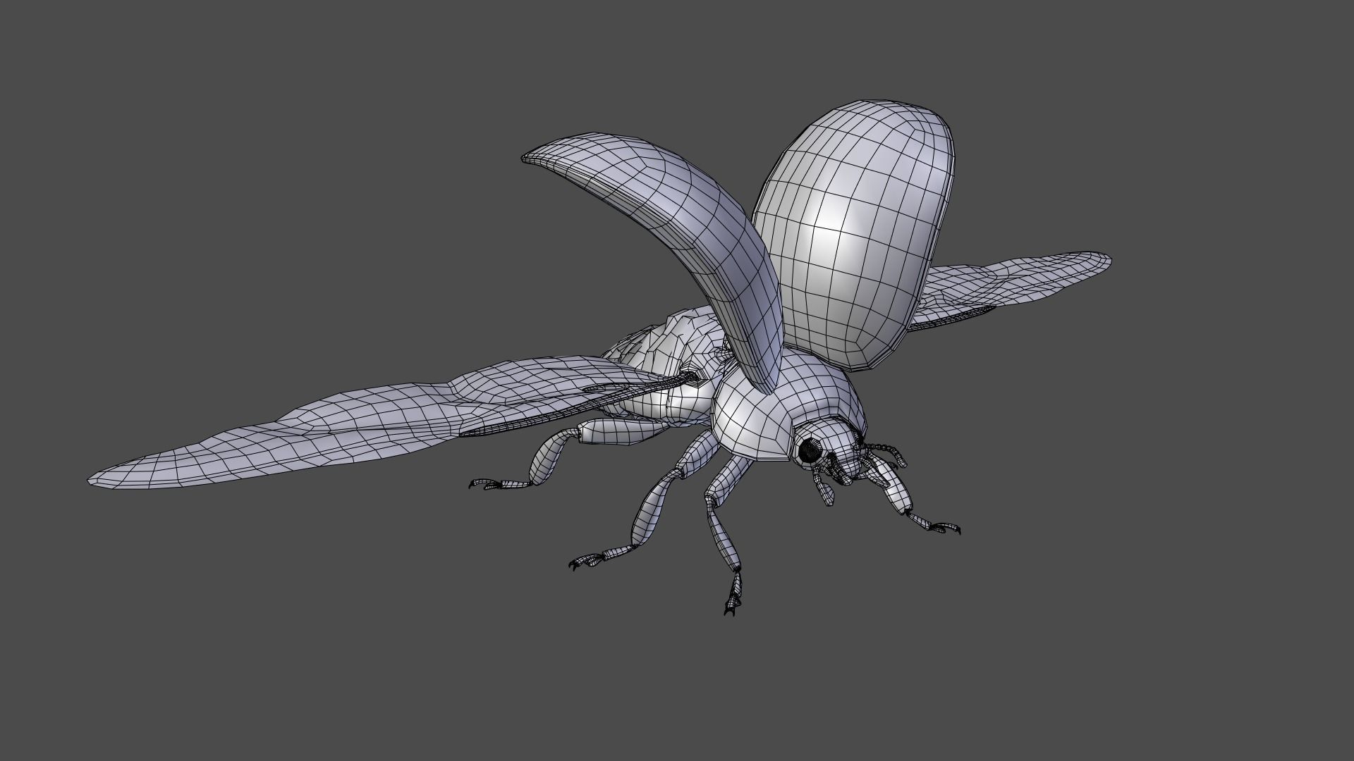 Ladybug Animated 3D model_15