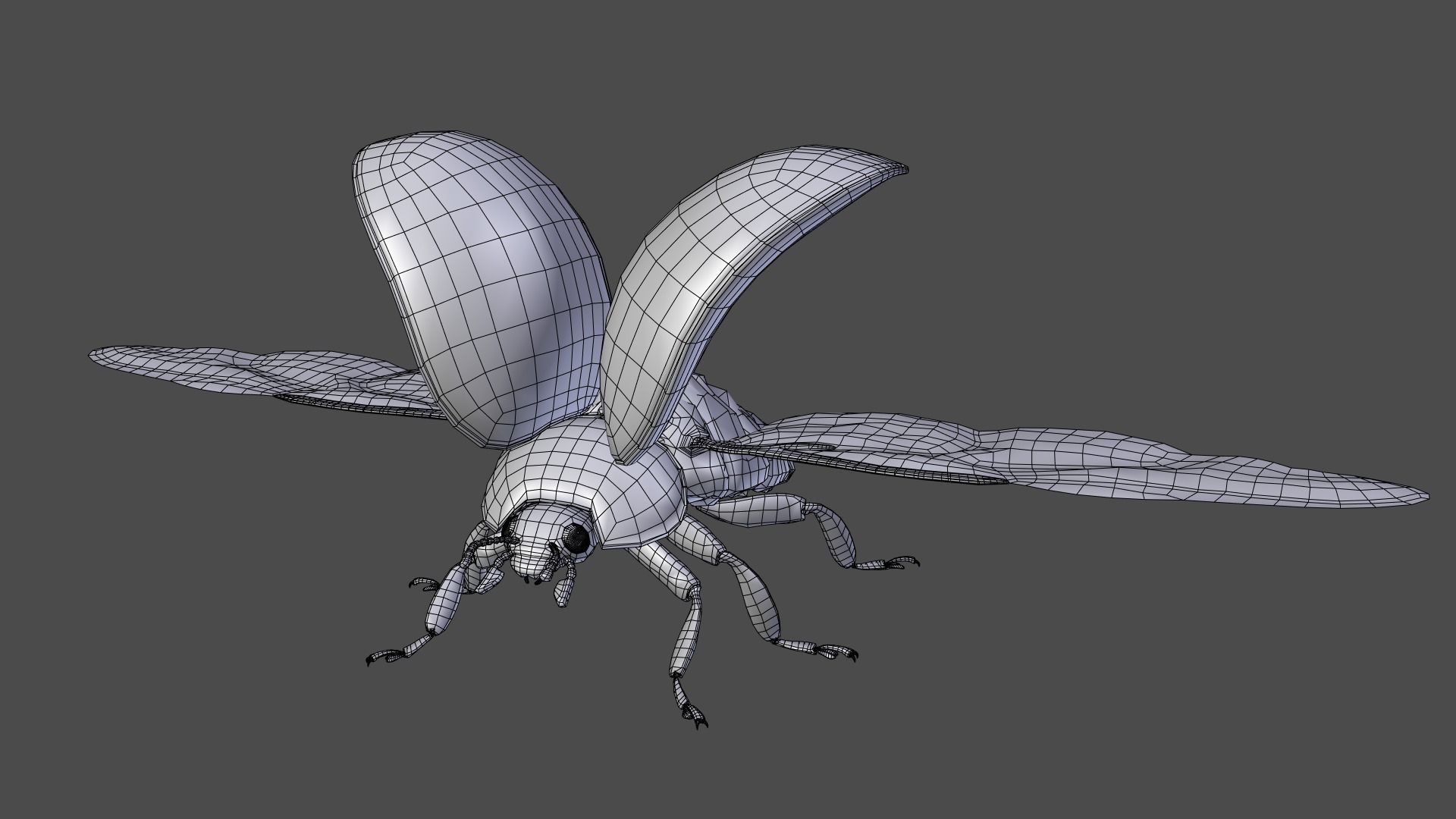 Ladybug Animated 3D model_19