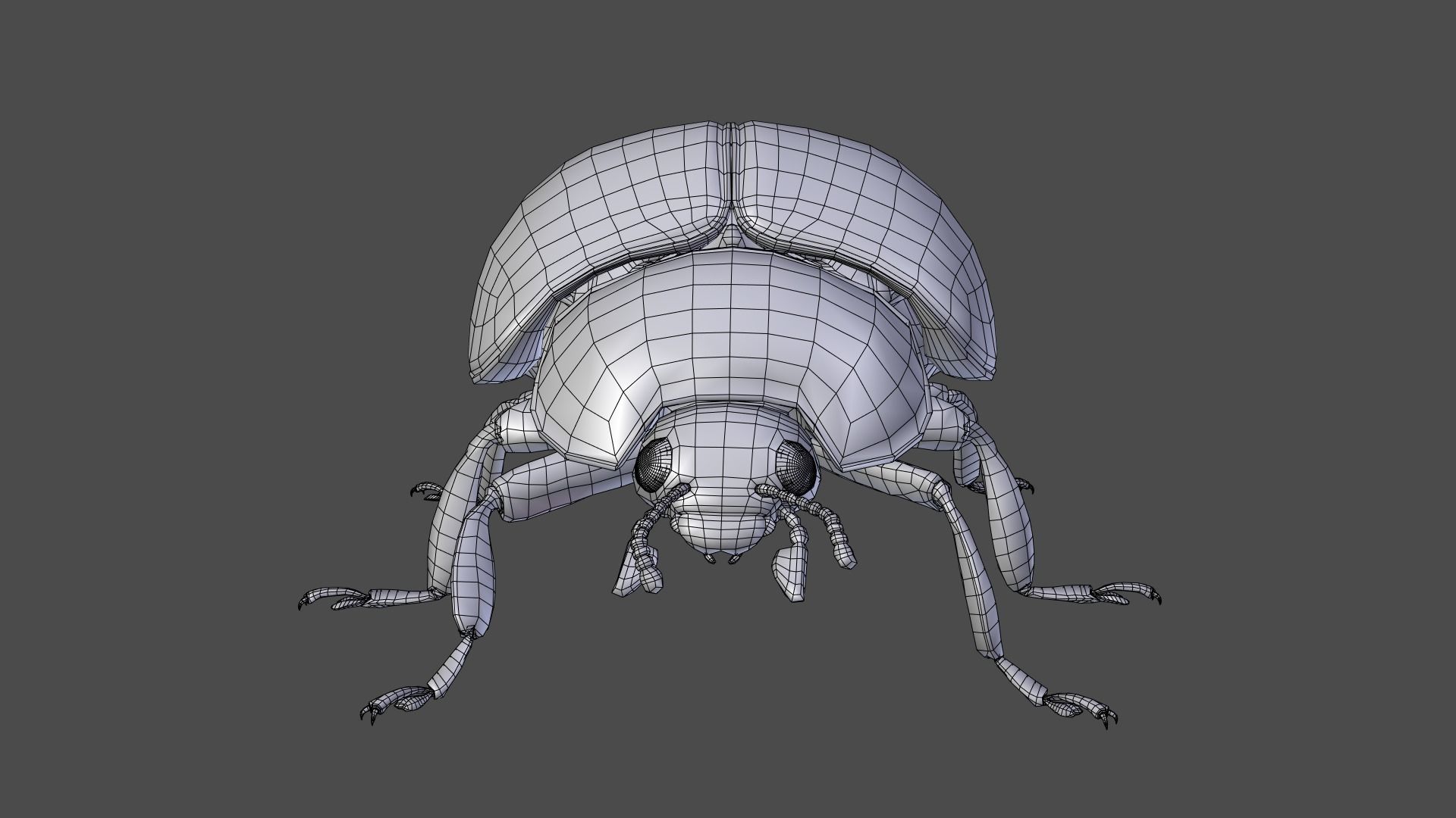 Ladybug Animated 3D model_27
