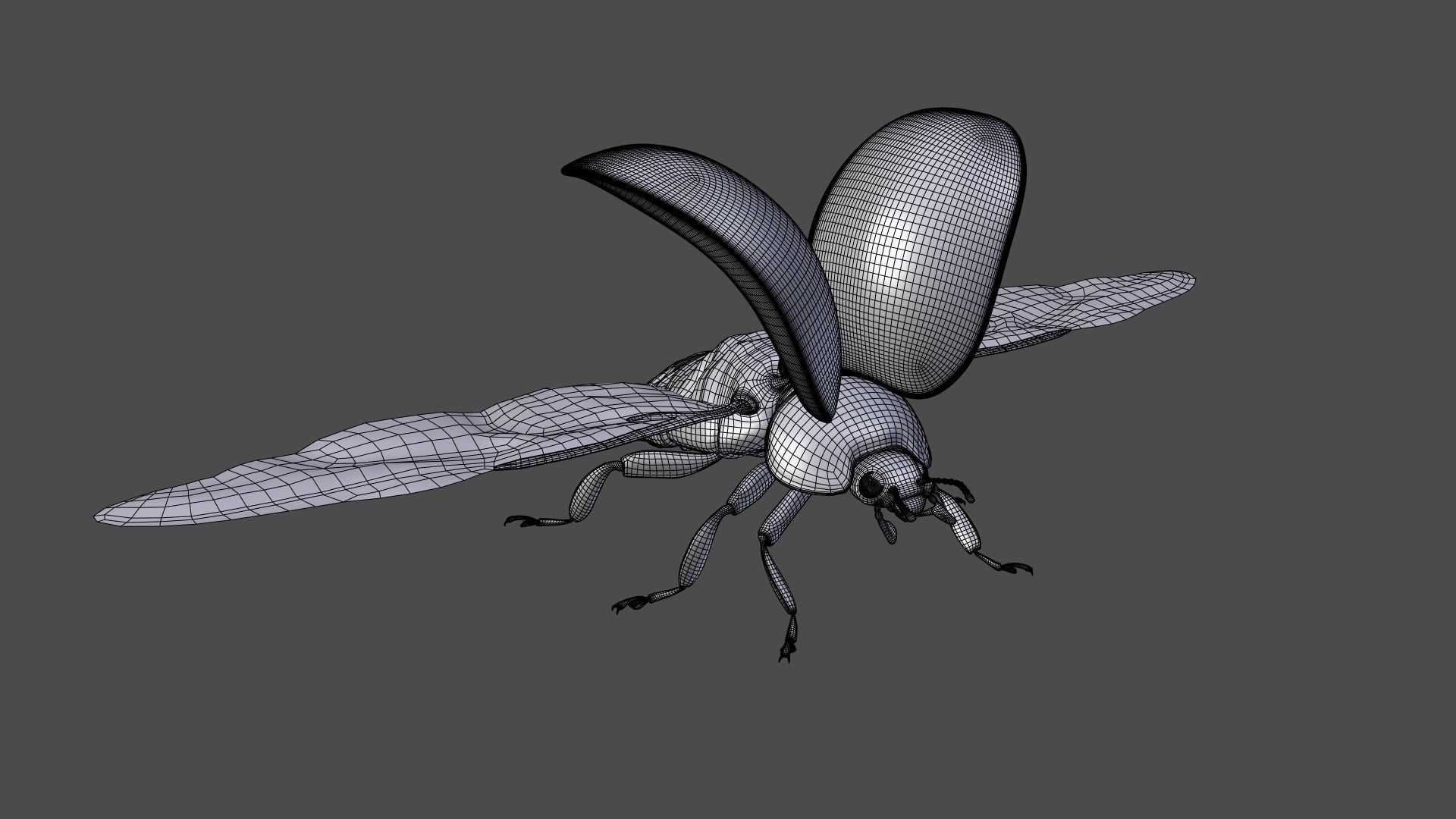 Ladybug Animated 3D model_16