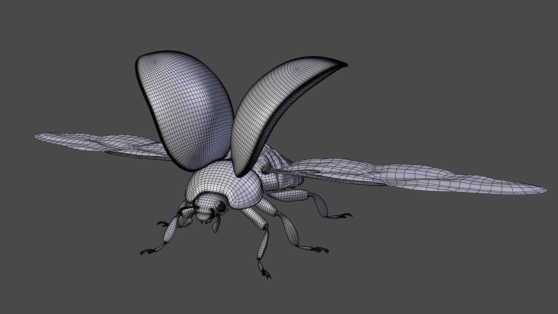 Ladybug Animated 3D model_20