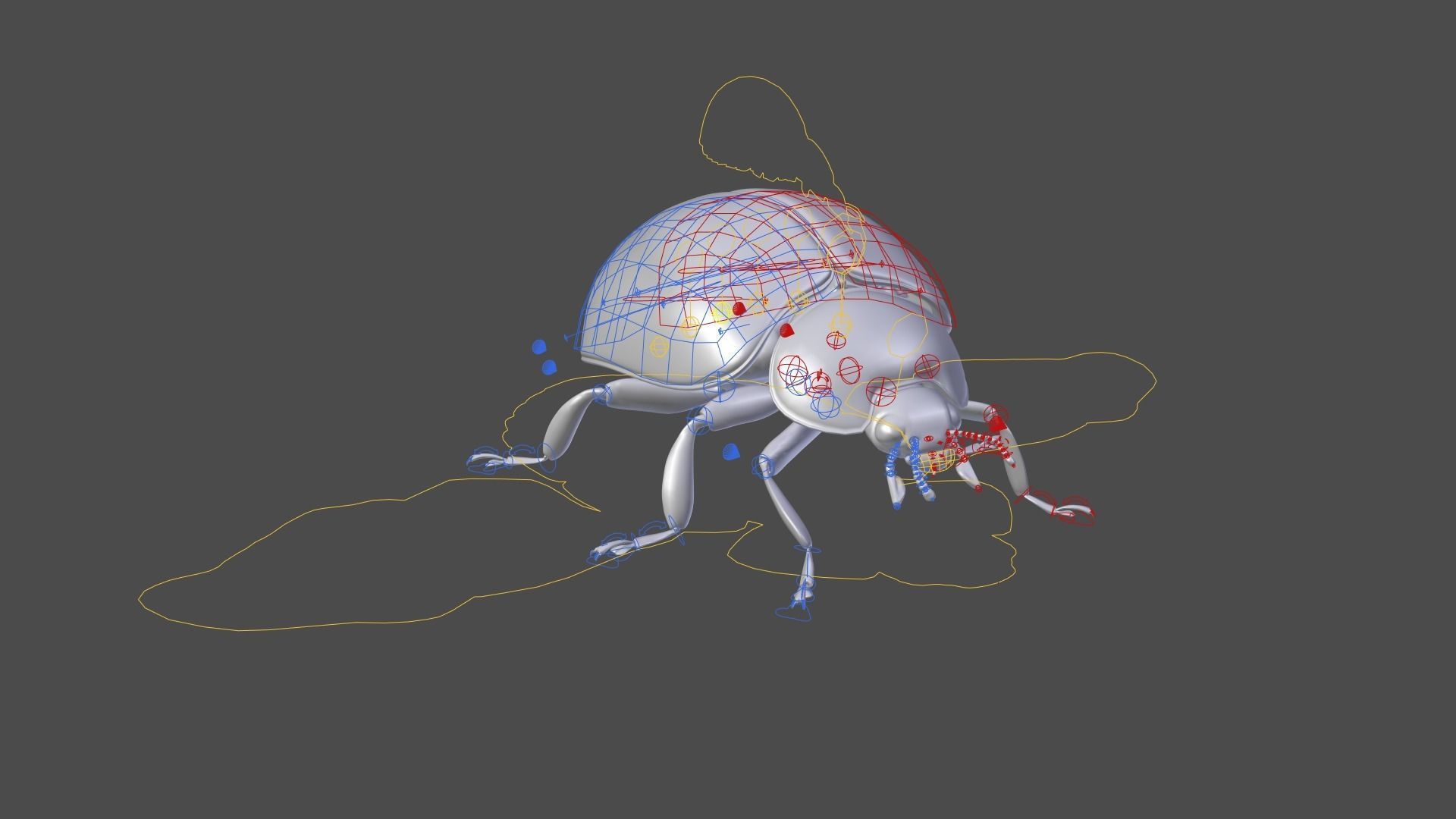 Ladybug Animated 3D model_39