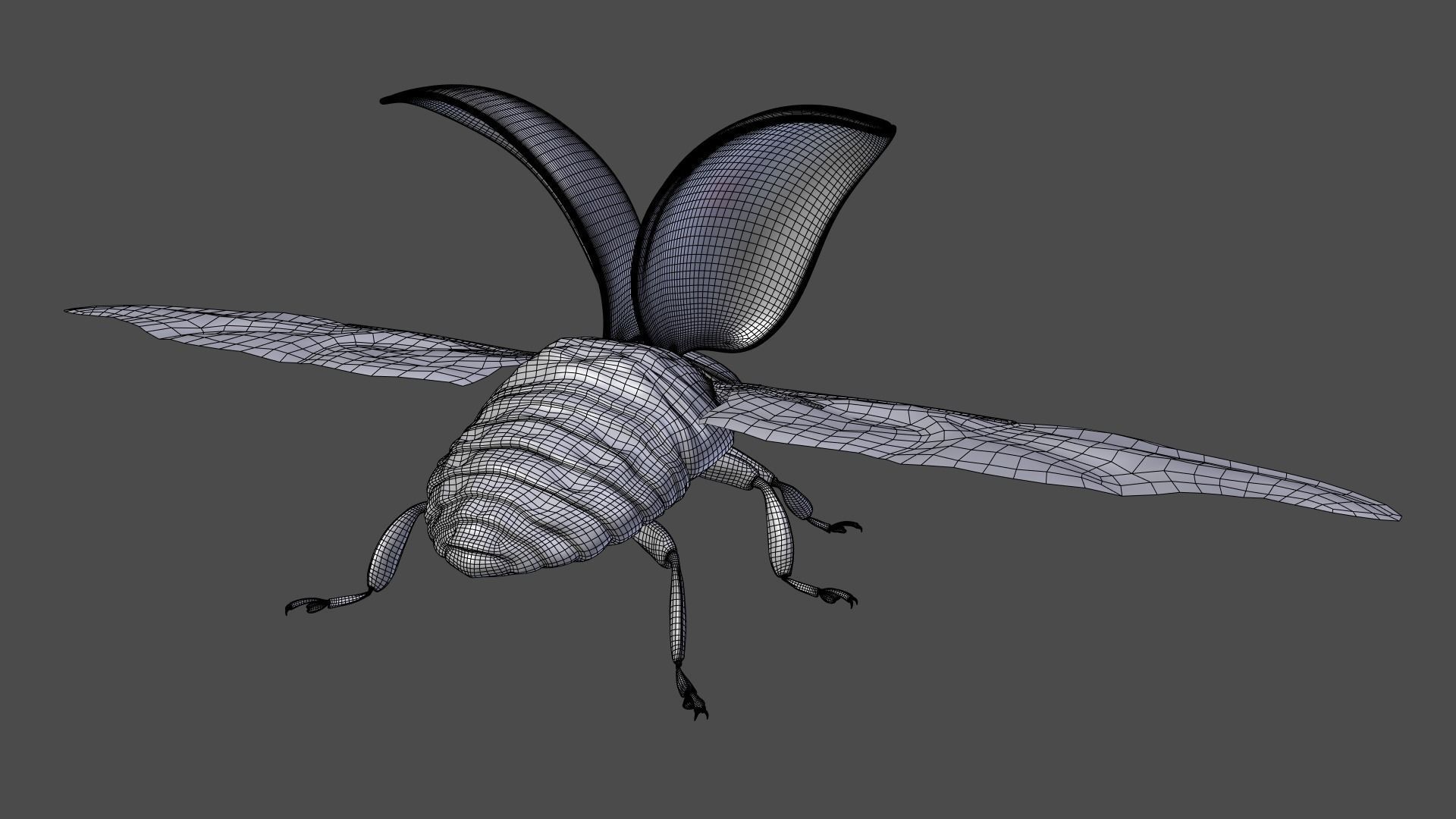 Ladybug Animated 3D model_22