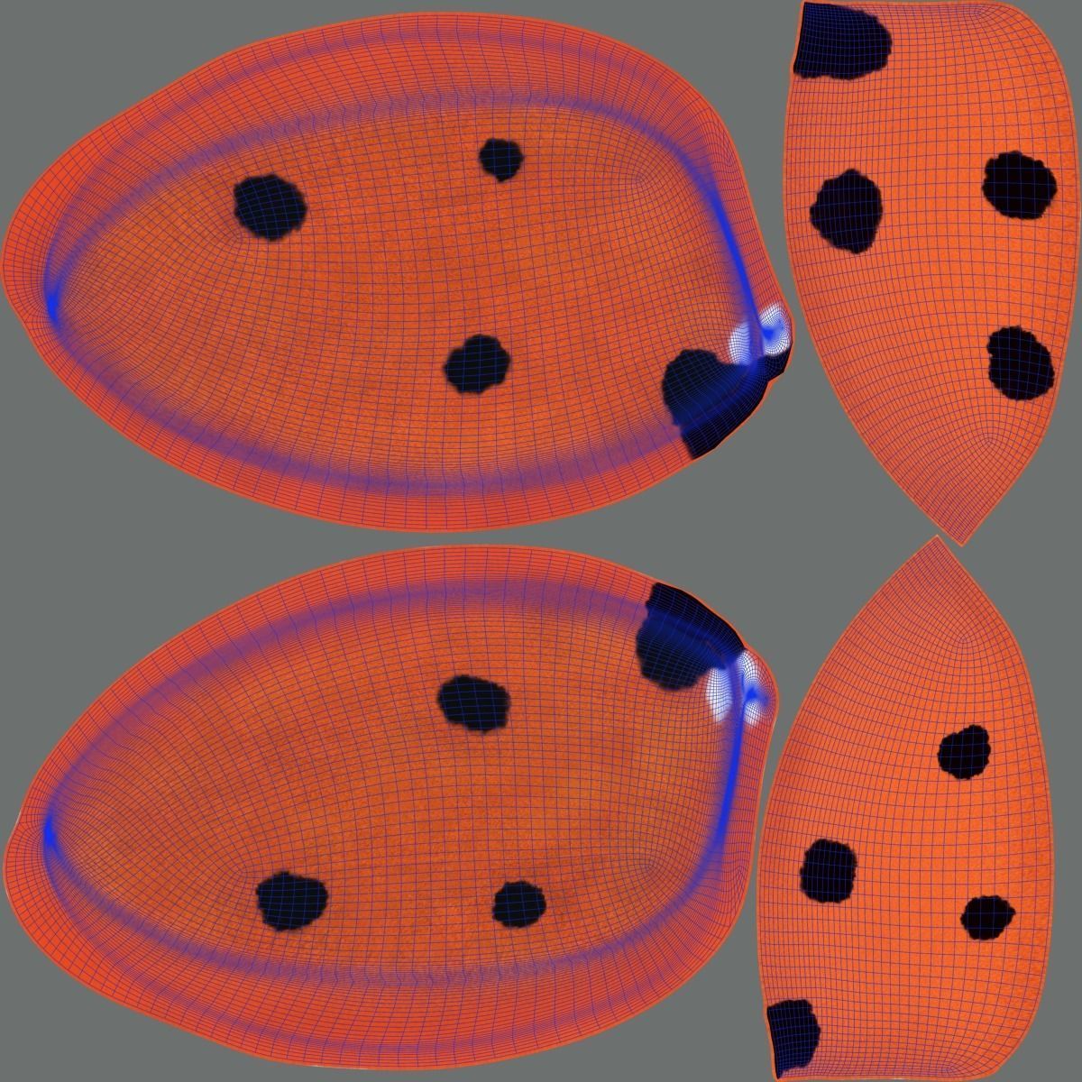 Ladybug Animated 3D model_42