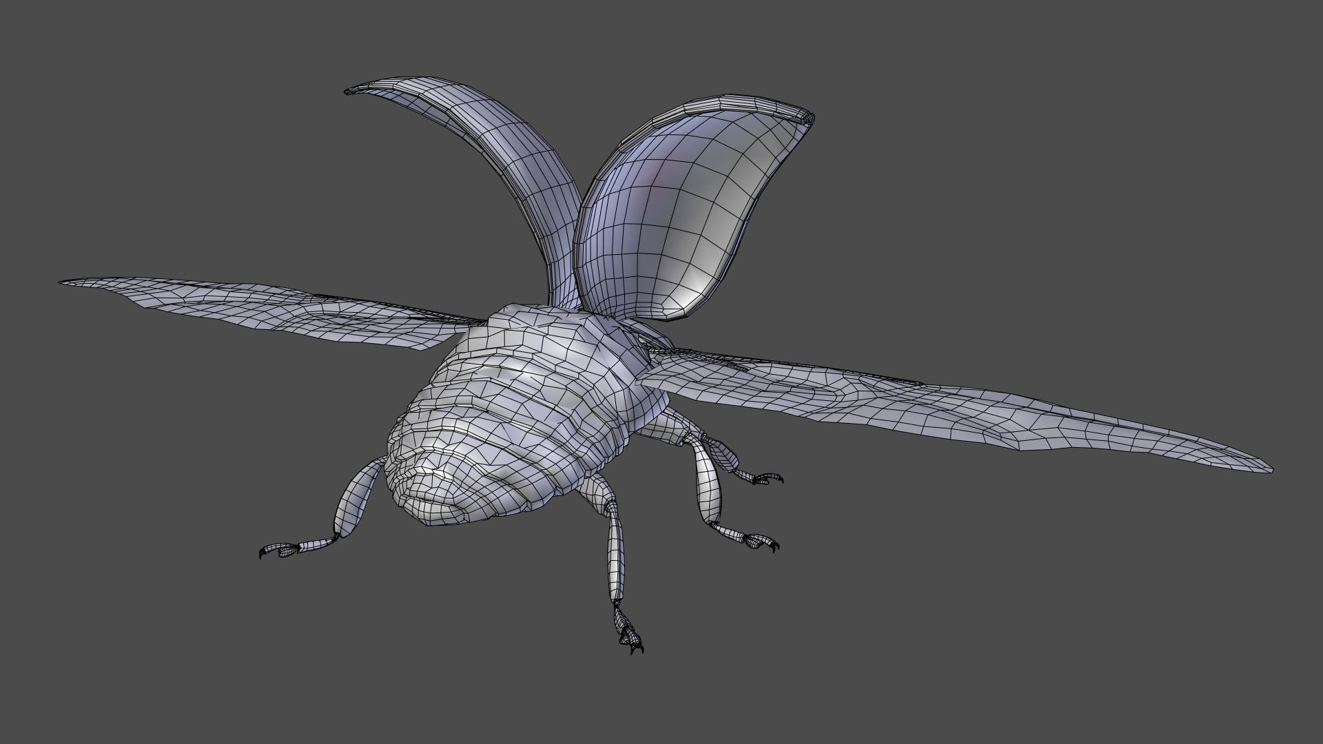 Ladybug Animated 3D model_21