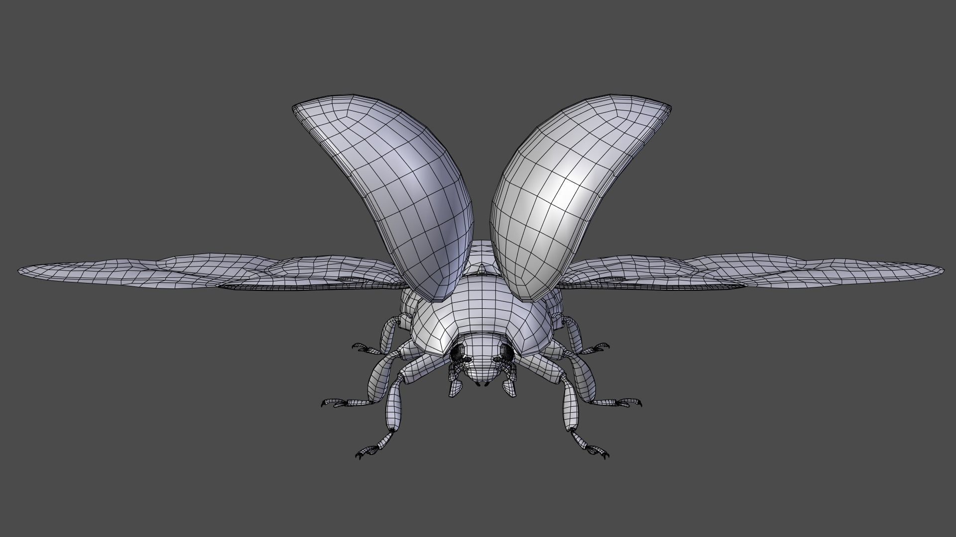 Ladybug Animated 3D model_17