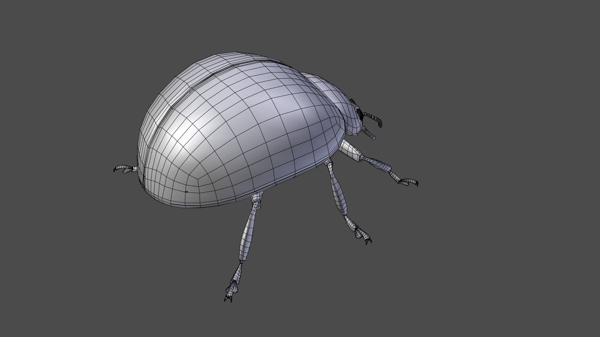 Ladybug Animated 3D model_29