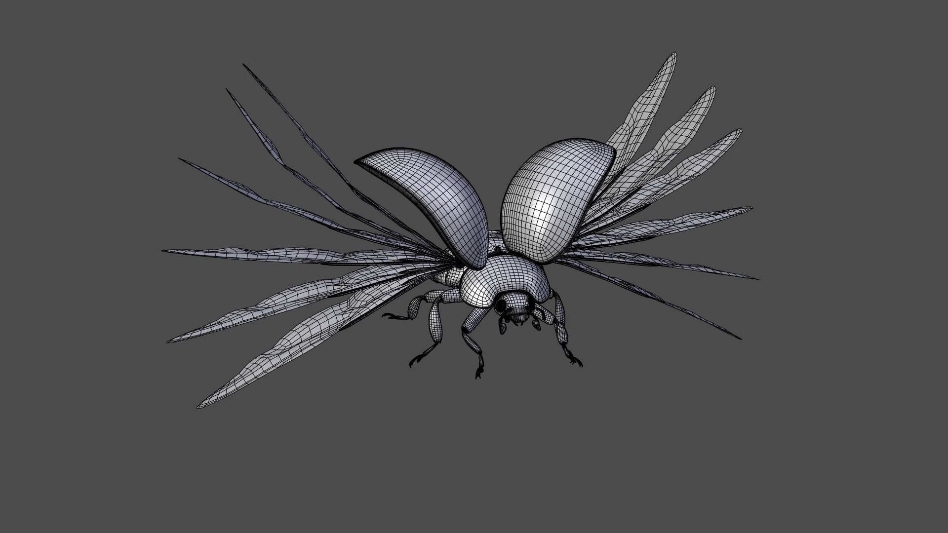 Ladybug Animated 3D model_35