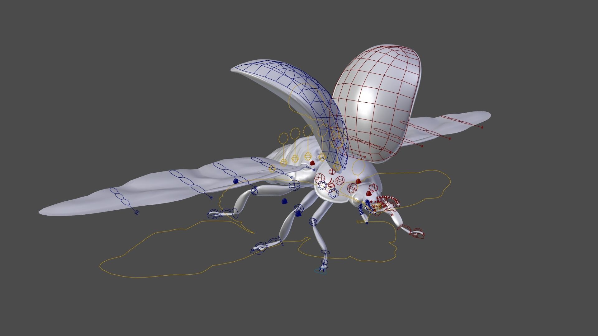 Ladybug Animated 3D model_38