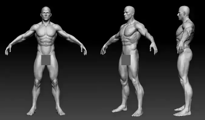 male body 01 Low-poly 3D model