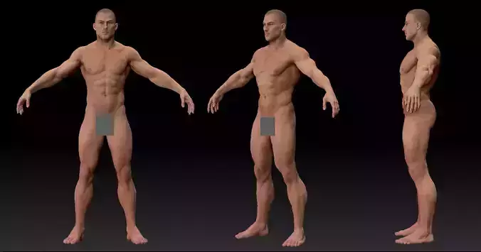 Male body 02