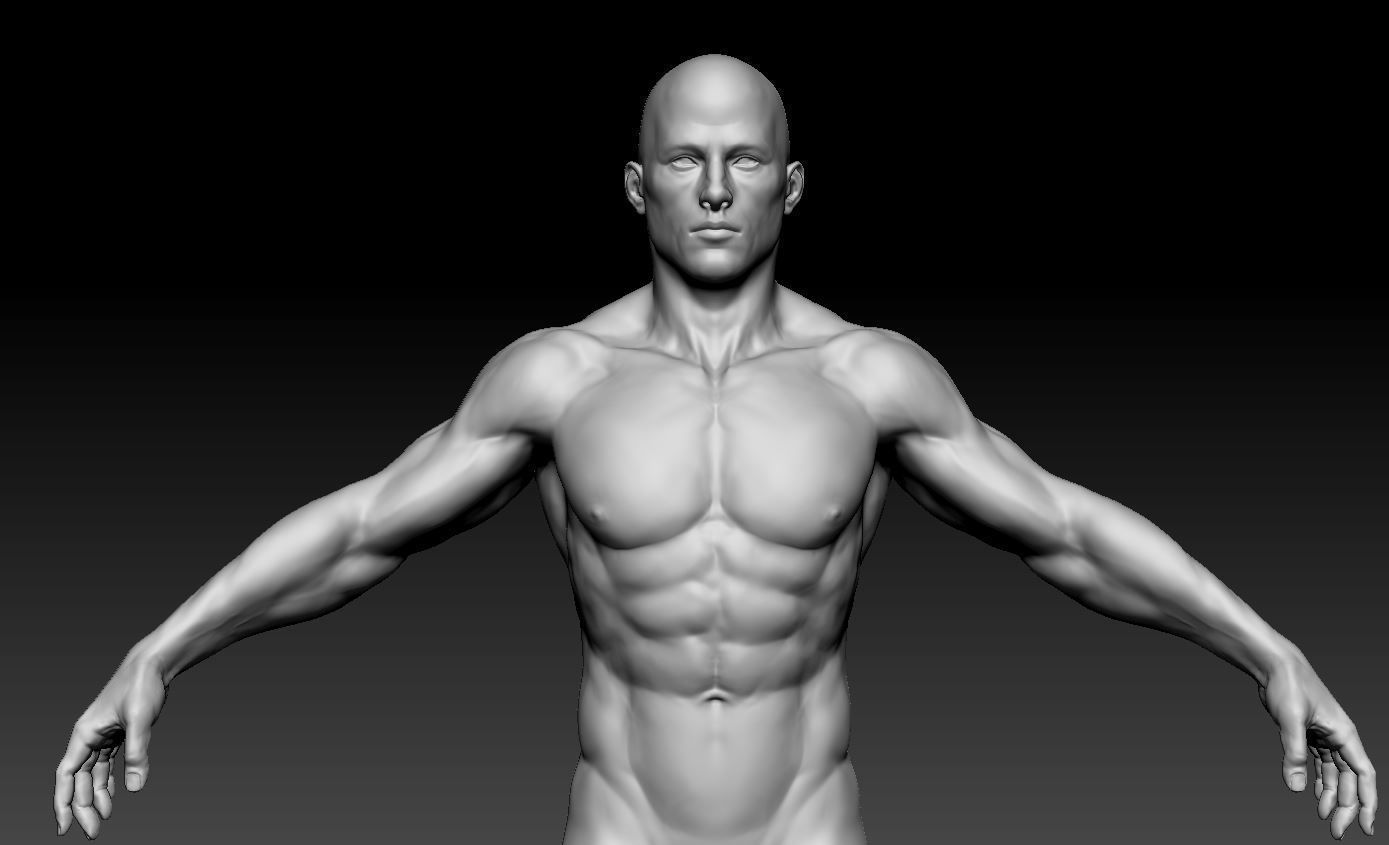 Male body 02 3D model_8
