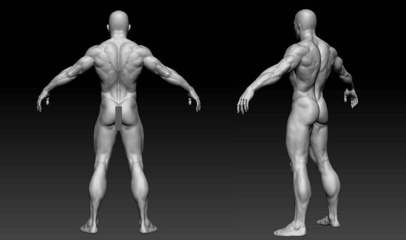 Male body 02 3D model_5