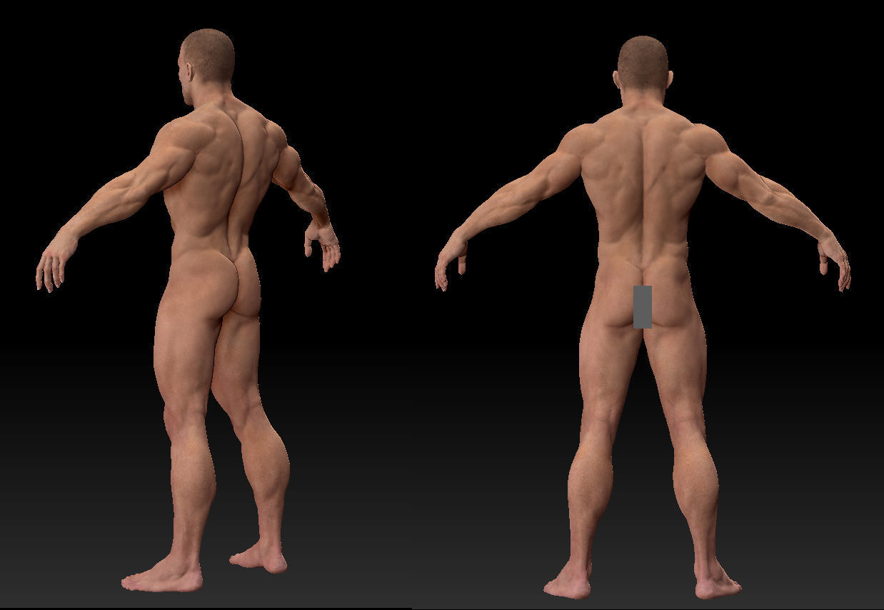Male body 02 3D model_4