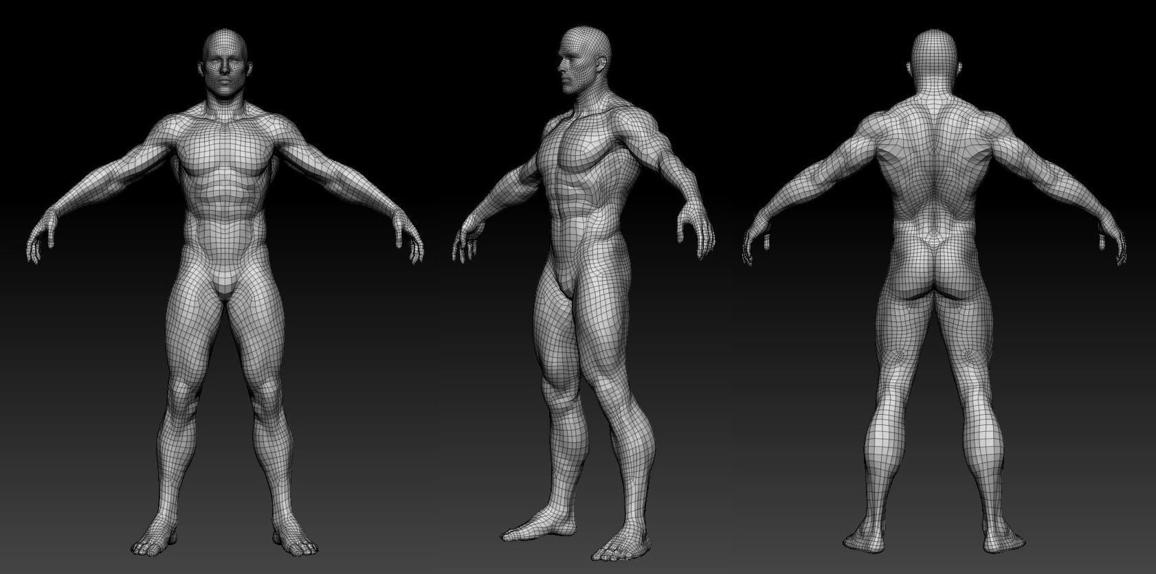 Male body 02 3D model_6