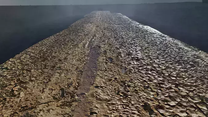 3d scan - muddy road 01