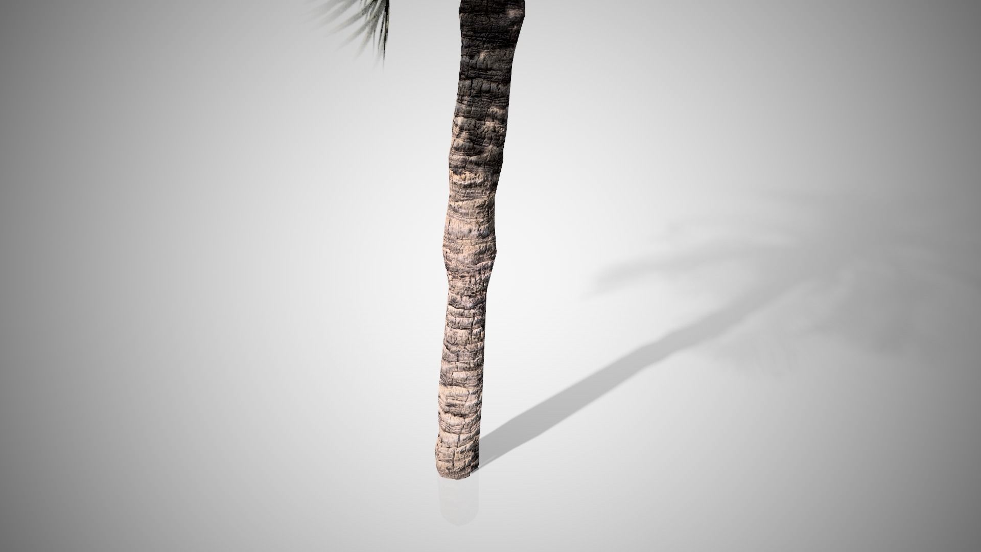 Date Palm Tree Low-poly 3D model_3